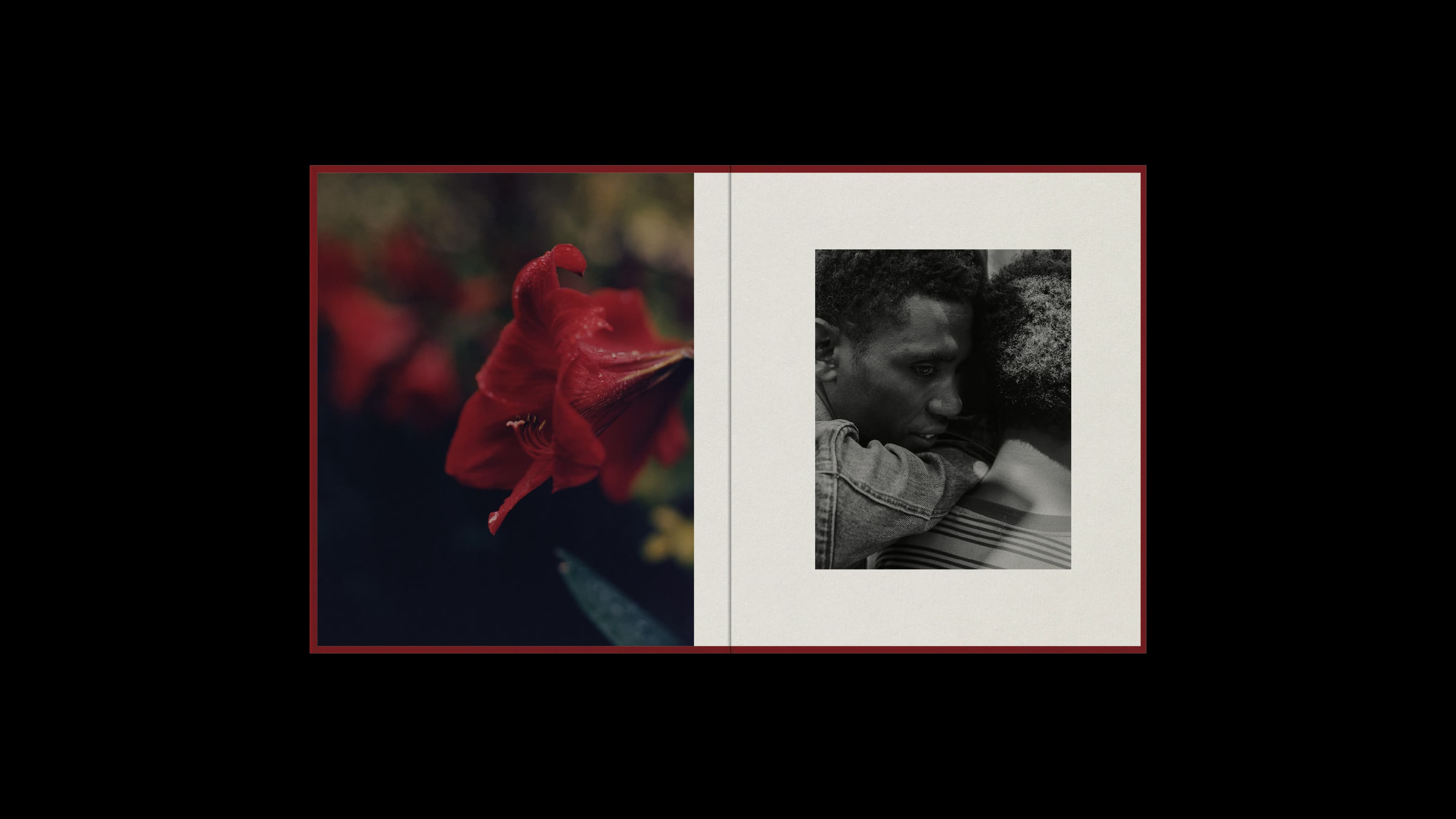 Gallery media #4